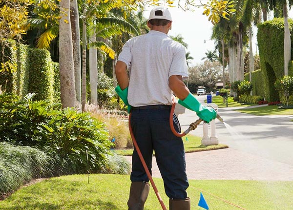 About Kingsbury TX Pest Control Pros